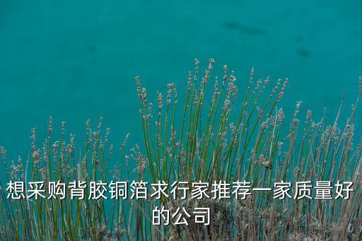 想采購背膠銅箔求行家推薦一家質量好的公司
