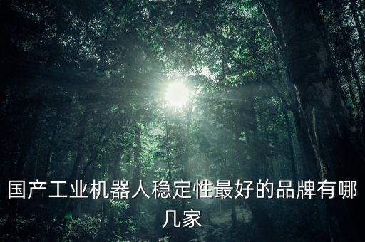 國產(chǎn)工業(yè)機(jī)器人穩(wěn)定性最好的品牌有哪幾家
