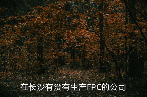 FPC連接器生產(chǎn)廠家，在長(zhǎng)沙有沒(méi)有生產(chǎn)FPC的公司