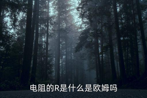 電阻的R是什么是歐姆嗎