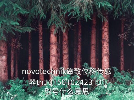 基恩士位移傳感器，novotechnik磁致位移傳感器th10150102423101型號什么意思