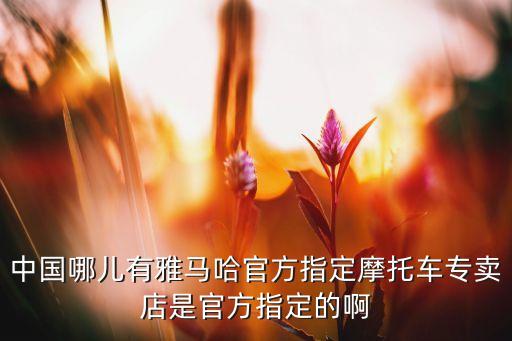 中國哪兒有雅馬哈官方指定摩托車專賣店是官方指定的啊
