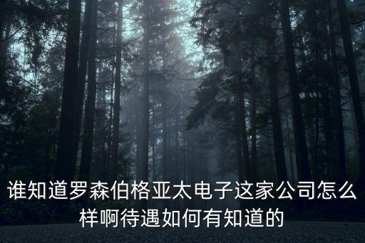 誰(shuí)知道羅森伯格亞太電子這家公司怎么樣啊待遇如何有知道的