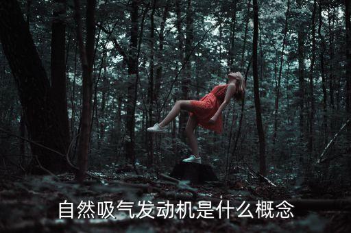 自然吸氣發(fā)動(dòng)機(jī)，什么是自然吸氣發(fā)動(dòng)機(jī)除此之外還有什么發(fā)動(dòng)機(jī)平常說(shuō)的汽車(chē)幾百