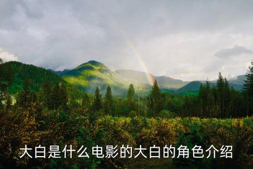 大白是什么電影的大白的角色介紹