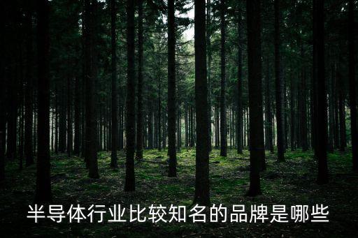 半導(dǎo)體行業(yè)比較知名的品牌是哪些