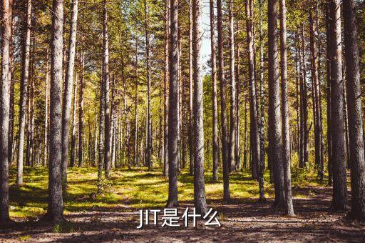電調(diào)是什么，a ha是什么意思