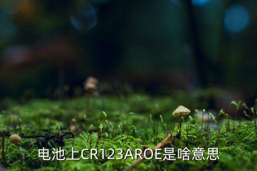 電池上CR123AROE是啥意思