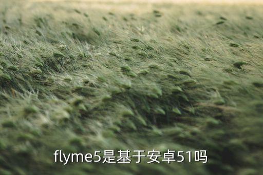 flyme5，flyme5是安卓哪個版本