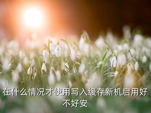 寫入緩存，寫入緩存和安全刪除