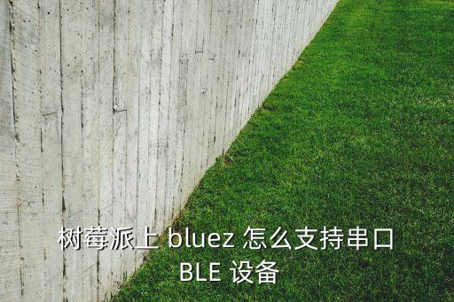 樹(shù)莓派上 bluez 怎么支持串口 BLE 設(shè)備