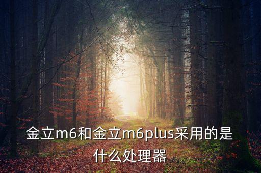 金立m6和金立m6plus采用的是什么處理器