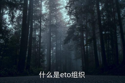 什么是eto組織