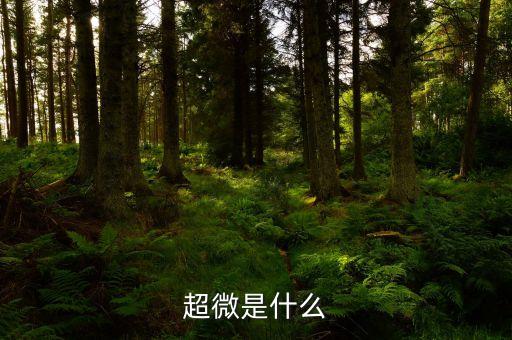 超微是什么