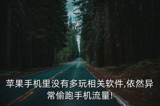 蘋果手機(jī)里沒有多玩相關(guān)軟件,依然異常偷跑手機(jī)流量!