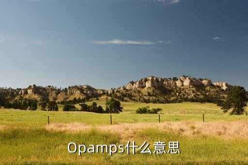 Opamps什么意思