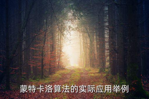 蒙特卡洛算法的實(shí)際應(yīng)用舉例