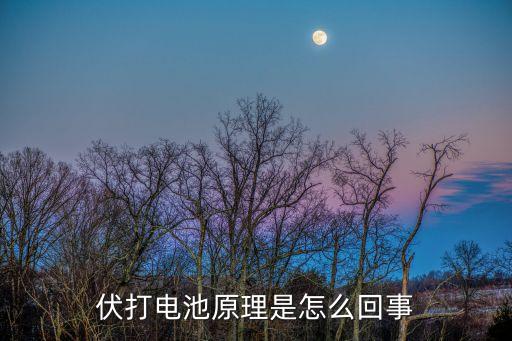 伏打電池，伏打電池什么原理