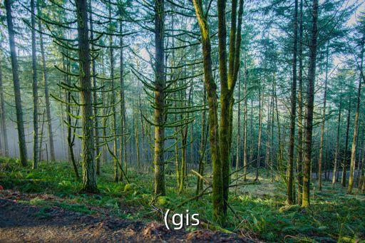 (gis