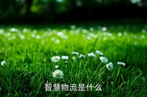 智慧物流是什么