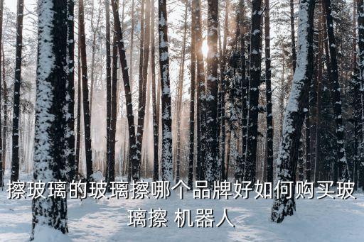 擦玻璃的玻璃擦哪個(gè)品牌好如何購(gòu)買玻璃擦 機(jī)器人