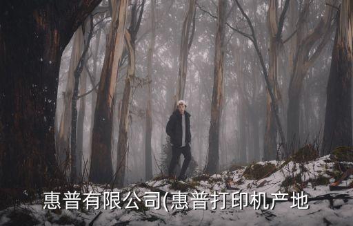 惠普有限公司(惠普打印機(jī)產(chǎn)地