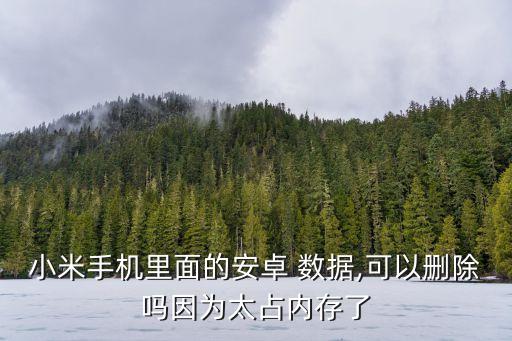 小米手機(jī)里面的安卓 數(shù)據(jù),可以刪除嗎因?yàn)樘純?nèi)存了
