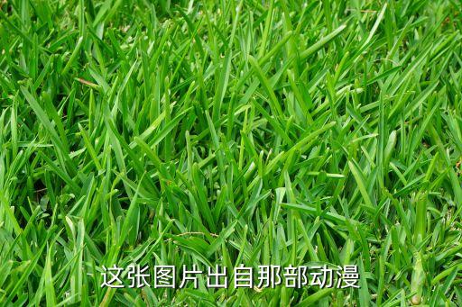 這張圖片出自那部動漫