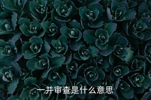 一并審查是什么意思