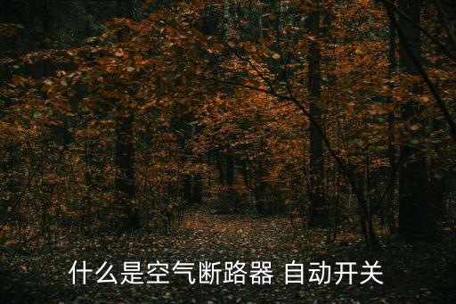 什么是空氣斷路器 自動(dòng)開關(guān)