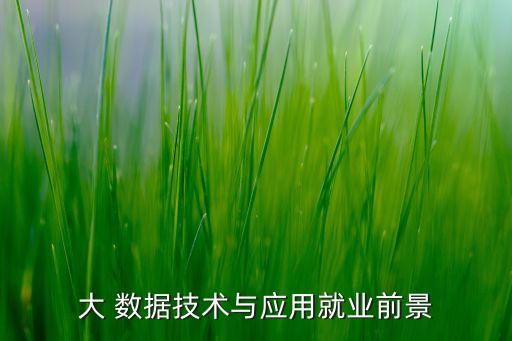 河南省大數(shù)據(jù)谷是什么意思