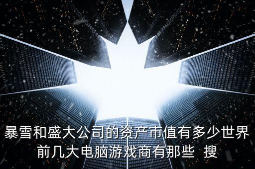 暴雪和盛大公司的資產市值有多少世界前幾大電腦游戲商有那些  搜