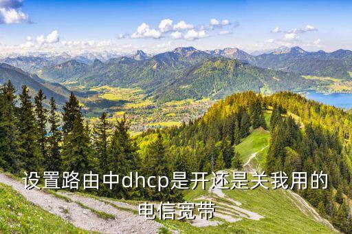 設(shè)置路由中dhcp是開還是關(guān)我用的電信寬帶