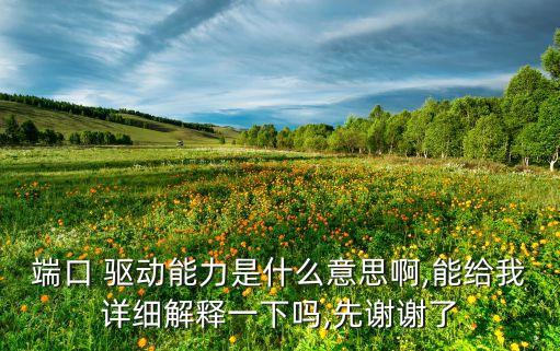 端口 驅(qū)動能力是什么意思啊,能給我詳細解釋一下嗎,先謝謝了