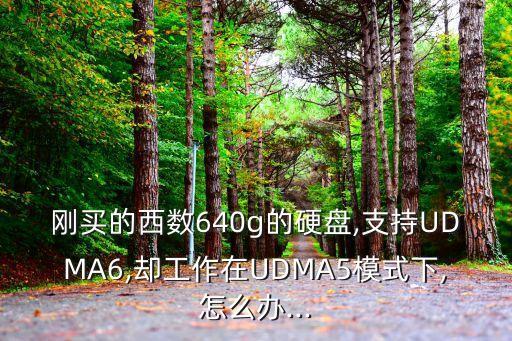 剛買(mǎi)的西數(shù)640g的硬盤(pán),支持UDMA6,卻工作在UDMA5模式下,怎么辦...