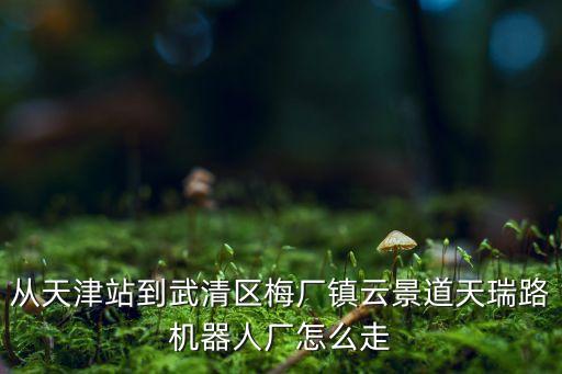 從天津站到武清區(qū)梅廠鎮(zhèn)云景道天瑞路機(jī)器人廠怎么走