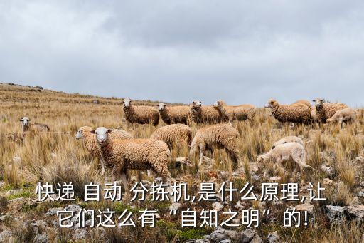 物流自動(dòng)分揀技術(shù),基于模式識(shí)別的物流分揀技術(shù)