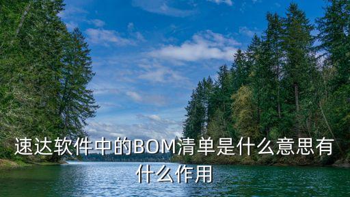 速達(dá)軟件中的BOM清單是什么意思有什么作用