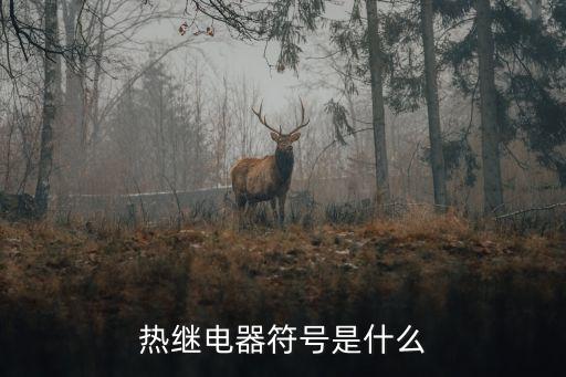 熱繼電器符號是什么