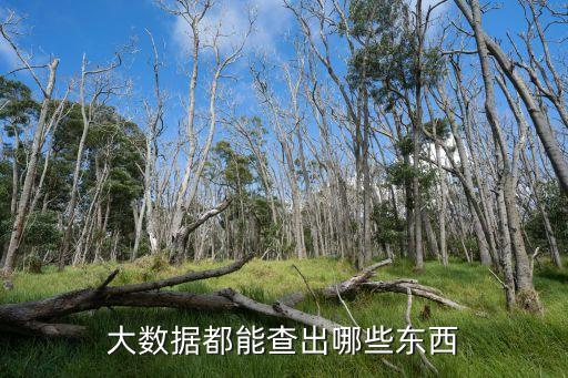 大數(shù)據(jù)都能查出哪些東西