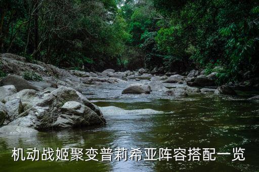 機(jī)動(dòng)戰(zhàn)姬聚變普莉希亞陣容搭配一覽