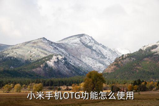  小米手機OTG功能怎么使用