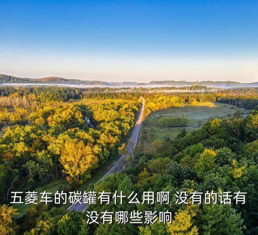五菱車的碳罐有什么用啊 沒有的話有沒有哪些影響