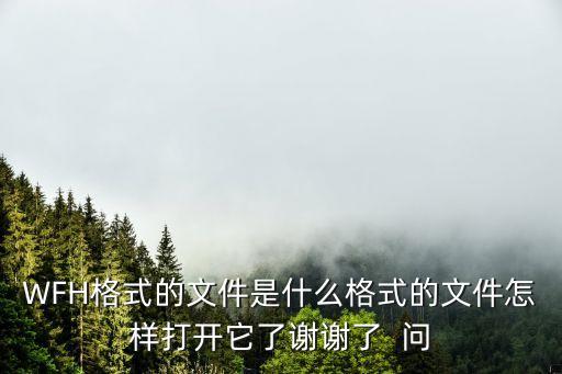 WFH格式的文件是什么格式的文件怎樣打開它了謝謝了  問
