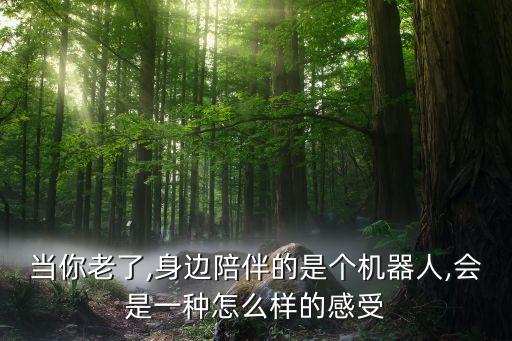 養(yǎng)老機(jī)器人阿鐵,養(yǎng)老機(jī)構(gòu)不足人工智能能為養(yǎng)老帶來(lái)什么?