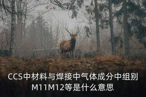 CCS中材料與焊接中氣體成分中組別M11M12等是什么意思