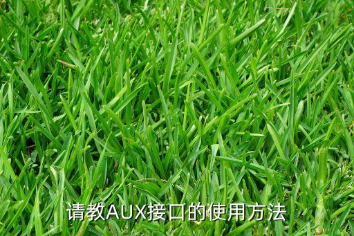 請教AUX接口的使用方法