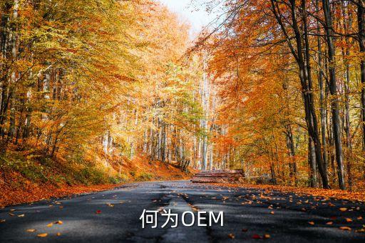 oem，oem是什么意思