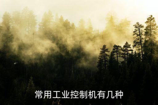 常用工業(yè)控制機(jī)有幾種