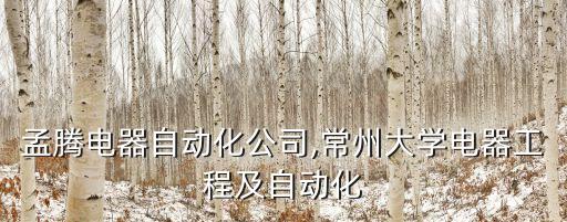 常州孟騰電器自動(dòng)化公司,常州大學(xué)電器工程及自動(dòng)化